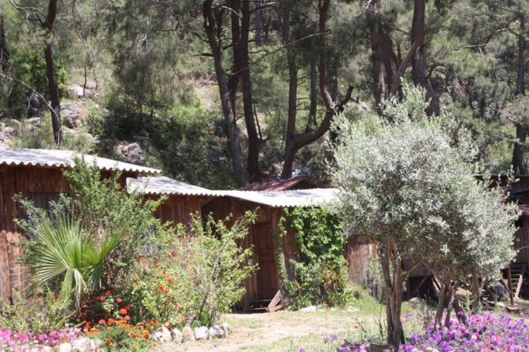 Şaban Pansiyon Tree Houses / KUMLUCA pansiyon