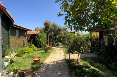 Pansiyon